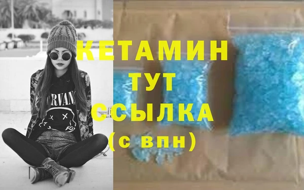 шишки Ельня