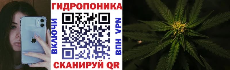 Канабис марихуана  как найти наркотики  Весьегонск 